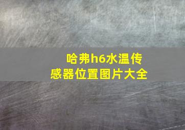 哈弗h6水温传感器位置图片大全