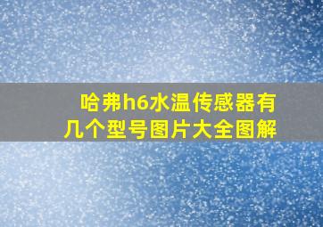 哈弗h6水温传感器有几个型号图片大全图解