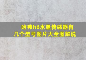 哈弗h6水温传感器有几个型号图片大全图解说