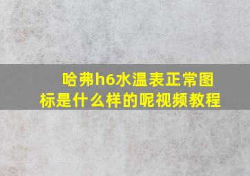 哈弗h6水温表正常图标是什么样的呢视频教程