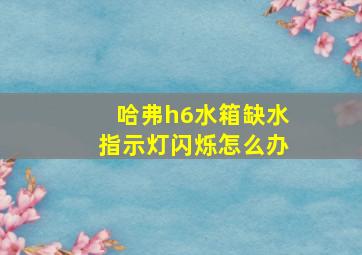 哈弗h6水箱缺水指示灯闪烁怎么办