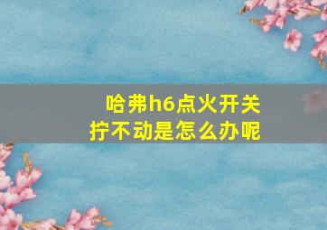 哈弗h6点火开关拧不动是怎么办呢