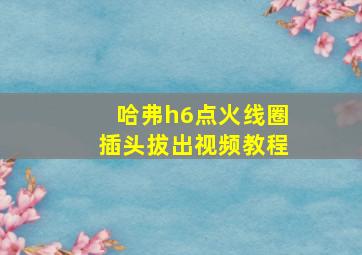 哈弗h6点火线圈插头拔出视频教程