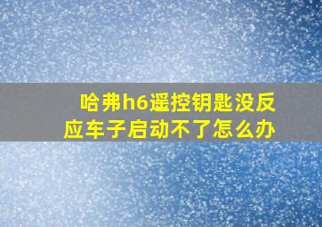 哈弗h6遥控钥匙没反应车子启动不了怎么办