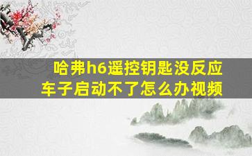 哈弗h6遥控钥匙没反应车子启动不了怎么办视频