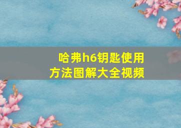 哈弗h6钥匙使用方法图解大全视频