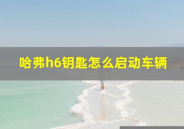 哈弗h6钥匙怎么启动车辆