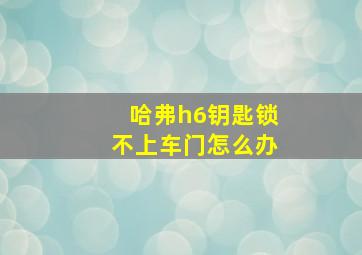 哈弗h6钥匙锁不上车门怎么办