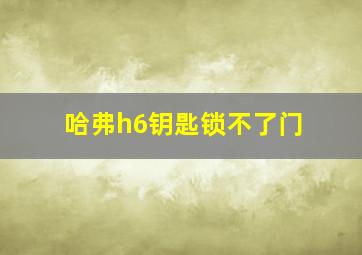 哈弗h6钥匙锁不了门