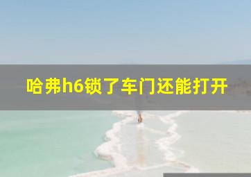 哈弗h6锁了车门还能打开