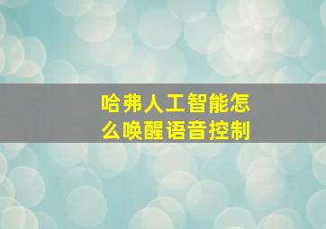 哈弗人工智能怎么唤醒语音控制