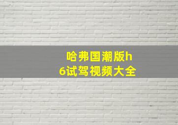 哈弗国潮版h6试驾视频大全