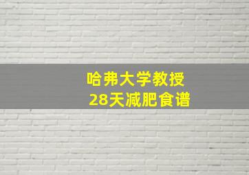 哈弗大学教授28天减肥食谱