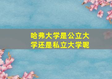 哈弗大学是公立大学还是私立大学呢