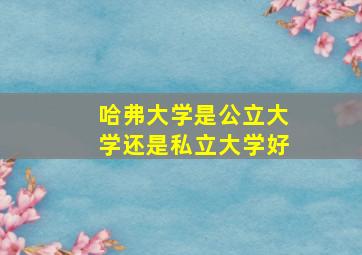 哈弗大学是公立大学还是私立大学好