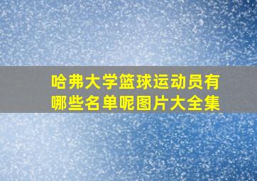 哈弗大学篮球运动员有哪些名单呢图片大全集