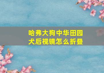 哈弗大狗中华田园犬后视镜怎么折叠