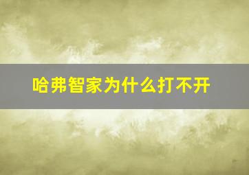 哈弗智家为什么打不开