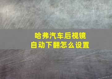 哈弗汽车后视镜自动下翻怎么设置