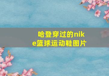 哈登穿过的nike篮球运动鞋图片