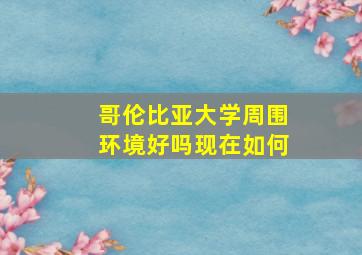 哥伦比亚大学周围环境好吗现在如何