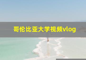 哥伦比亚大学视频vlog