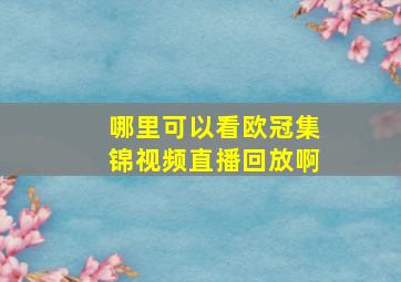 哪里可以看欧冠集锦视频直播回放啊