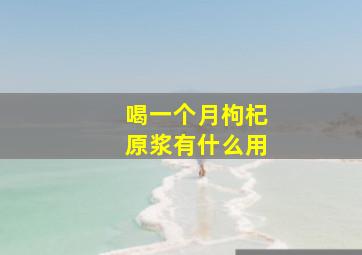 喝一个月枸杞原浆有什么用