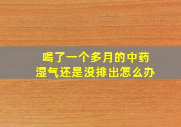 喝了一个多月的中药湿气还是没排出怎么办