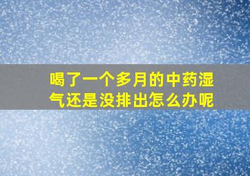 喝了一个多月的中药湿气还是没排出怎么办呢