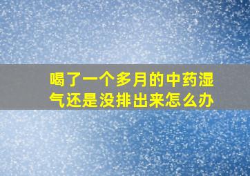 喝了一个多月的中药湿气还是没排出来怎么办