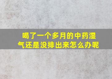 喝了一个多月的中药湿气还是没排出来怎么办呢