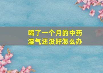 喝了一个月的中药湿气还没好怎么办