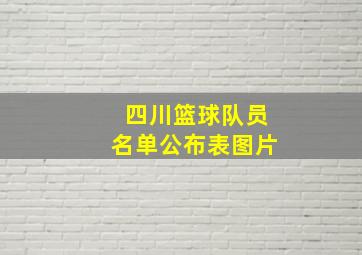 四川篮球队员名单公布表图片