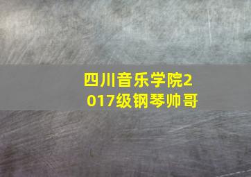 四川音乐学院2017级钢琴帅哥