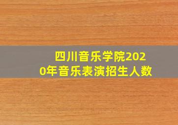 四川音乐学院2020年音乐表演招生人数