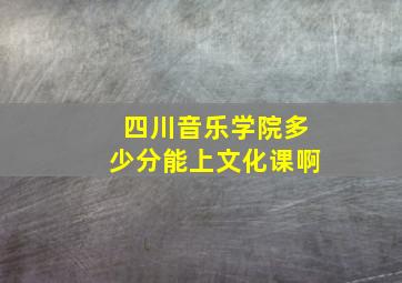 四川音乐学院多少分能上文化课啊