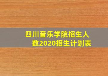 四川音乐学院招生人数2020招生计划表