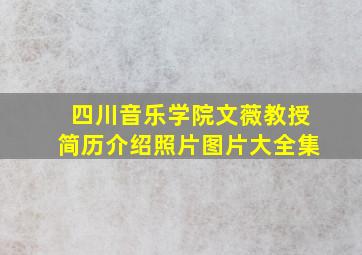 四川音乐学院文薇教授简历介绍照片图片大全集