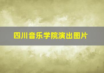 四川音乐学院演出图片