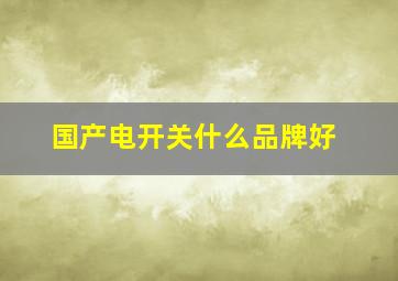 国产电开关什么品牌好