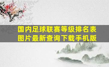 国内足球联赛等级排名表图片最新查询下载手机版