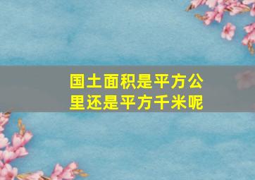 国土面积是平方公里还是平方千米呢