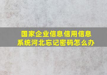 国家企业信息信用信息系统河北忘记密码怎么办