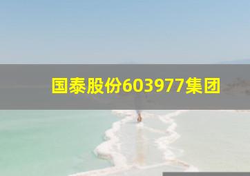 国泰股份603977集团