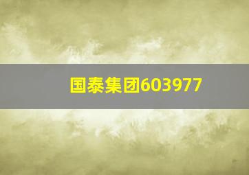 国泰集团603977