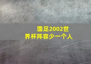 国足2002世界杯阵容少一个人