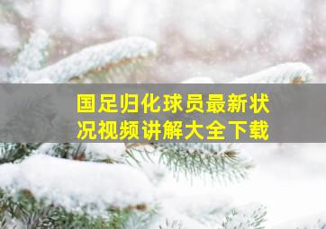 国足归化球员最新状况视频讲解大全下载