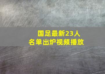 国足最新23人名单出炉视频播放