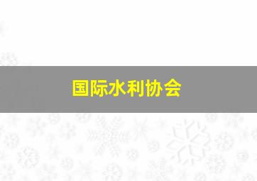 国际水利协会